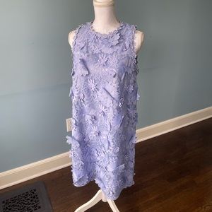 Anthropologie Eri + Ali Daisy Lace Shift Dress